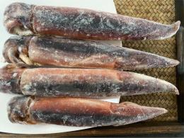 SAITO FOODS CO.,LTD. / Frozen fish