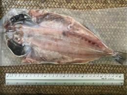 新物! 特製アジ開き L Size