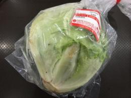 お取り寄せ野菜 レタス 約500g