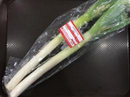 お取り寄せ野菜 長ネギ　2本　約300g