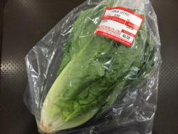 お取り寄せ野菜 ロメインレタス　約250g