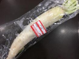 お取り寄せ野菜 ダイコン　1本